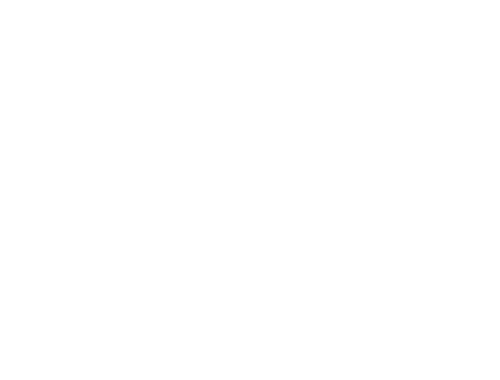 Phase